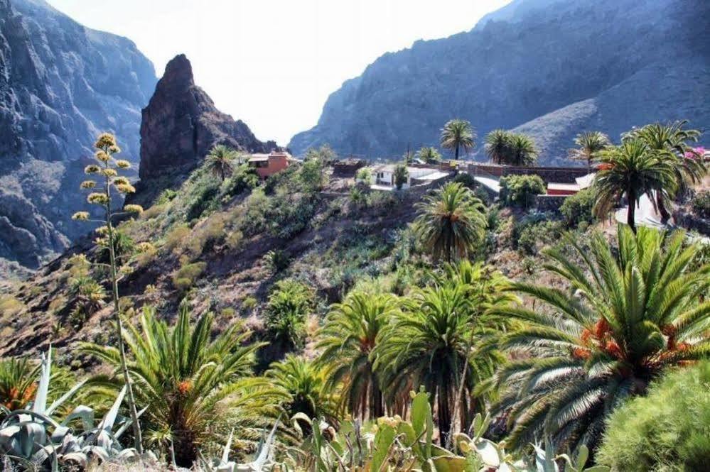Eco Finca Vista Bonita San Miguel de Abona Esterno foto